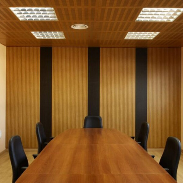 Placa Nexacustic